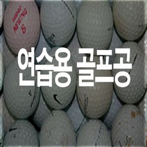 로스트볼 골프공 연습용 100개 중고골프공