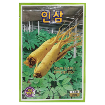 [씨앗맛집] 인삼 약용 채소 뿌리 국산 향토 민속 씨앗 씨 모종 종자 재배 키우기