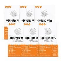 [12개월분] 비타민D 맥스 2600IU D3 임산부 청소년 수유부 어린이 비타민디 결핍