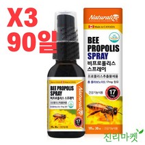 [진리마켓 정품] 네추럴라이즈 비프로폴리스 스프레이 액상 스프레이형 플라보노이드 구강 향균 캐나다 직수입 항산화, 30ml x 3병