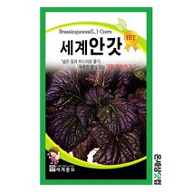 세계안갓 10g /쌈채소씨앗 갓씨앗 김장채소 갓 씨