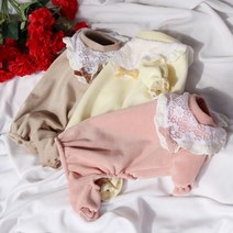 포메라이언 댕댕이 강아지 분양 베들링턴테리어 빠삐용강아지 삽살개 파티푸들 털안빠지는강아지 소형견종류 개훌륭 강형욱 코코펫 케이프올인원, 핑크