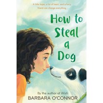 How to Steal a Dog:- '개를 훔치는 완벽한 방법' 원작 소설, Square Fish