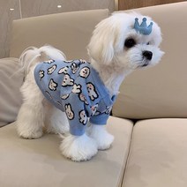 강아지캐릭터옷 구매평
