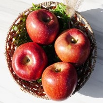 농부파파 경북 청송 저온착즙 달콤한 사과즙 사과주스 110ml 50포, (정품) 5kg 대   (13-14과)