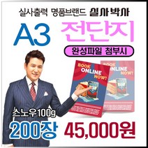 전단지 200장, 완성데이타 (수정0회) 제공, A3-양면 200장