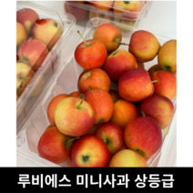 [국내산/국산] 루비에스미니사과 상품 특품 2kg / 간식용 가정용 사과 알프스오토메 루비에스사과 루비에스 감홍사과 작은사과 루비사과 미니사과