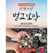 여수(벌교) 여자만 제철 산지직송 새꼬막 1kg, 특상