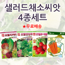 주주씨앗 샐러드채소씨앗 4종세트 모둠 치커리 양상추 방울무 미니당근 종자