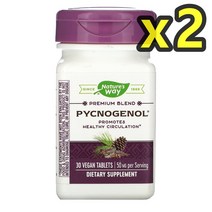 네이처스웨이 피크노제놀 소나무 껍질 추출물 50mg 30 정 x2개