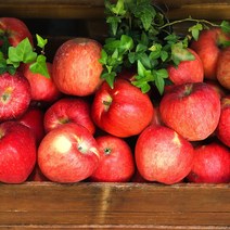 경북 산지직송 당도선별 가정용 정품 꿀사과 부사사과 2kg 3kg 5kg 10kg, (가정용) 5kg / 소과 / 22-24과