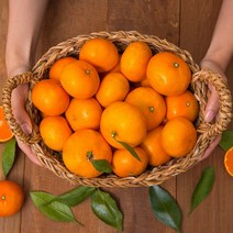 제주 하우스감귤 2.5kg 로얄과, 1박스