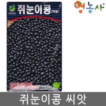 쥐눈이콩씨앗 30g, 쥐눈이콩