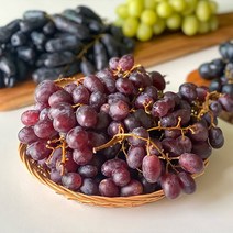 과일특공대 고당도 씨없는 포도, 블랙사파이어포도, 2kg