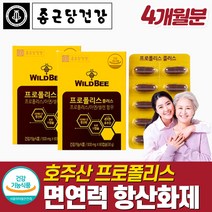 고함량 프로폴리스 면역력 활성 산소 유해 산소 항산화 영양제 체력 저하 코 목 인후 구강 항균 입속 몸속 플라보노이드 노인 어르신 시니어 실버 온가족 부모님