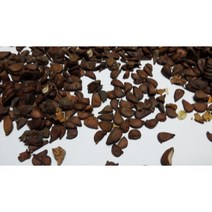 모과나무씨앗25g(500립)