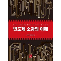 반도체 소자의 이해, 정용성 저, 정일