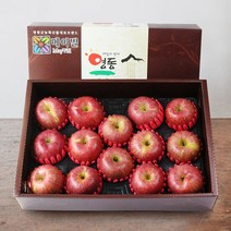 [산지직송] 영동 사과 선물세트 5kg(14-16과), 단품