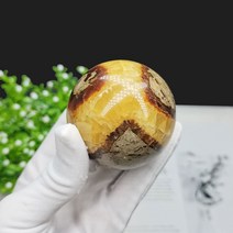 조개화석 암모나이트 화석 1 80 천연 격막 구 격막 천연 드래곤 돌 격막 화석 구, 60-70mm