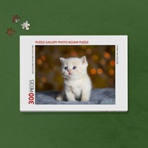 300피스 반려동물 사진 직소퍼즐 제작 (액자포함) _ 80998EA, 피오리레 본상품선택, 피오리레 05. 모던브라운, 피오리레 본상품선택