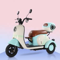 삼륜 전기스쿠터 세발 전동오토바이 어르신 전동차 효도선물, 블루, 60V800W13AH