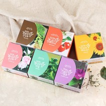 JAYART18_자연애 마이가든 식물 기르기 방울토마토키우기 미니키우기 해바라기키우기 강낭콩키우기 허브바질키우기 초보용키우기 봉선화키우기+jac230126, (주)제이아트co_허브바질