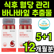 바나바잎 은행잎 추출물 바나바 바나나 바나바리프 코로솔산 코로졸산 콜로솔산 코로솔산 코르솔산 크로솔산 코로산 식약청 식약처 인증 인정 보조제 보충제 여주 건강 보조 기능 식품 추천, 6박스(12개월분)