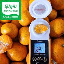 햇살담아팜 제주 노지감귤 무농약 고당도 꼬마 소과 대과 로얄과 귤 5kg 10kg, 무농약 대과 4.5kg