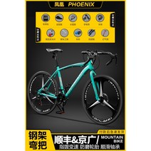 Phoenix Loiter 로드자전거 24단 변속 경량 자전거 고성능 입문용 싸이클자전거, 24단 그린