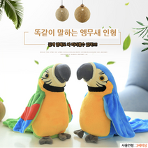 똑같이 말하는 따라쟁이 앵무새 인형 완구 인기 목소리녹음인형 말하는새인형 앵무새인형 말하는인형 앵무새장난감 어른 어른들이좋아하는 동물인형 재미있는 필수템 블루 작동인형