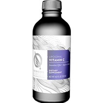 Quicksilver Scientific 퀵실버사이언티픽 리포조말 비타민 C 1000mg 120ml