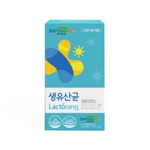 혈당유산균 락토바실러스플란타럼 락토바실러스가세리 생유산균 30포 식약처인정