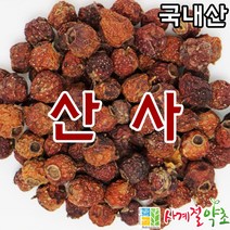 사계절약초 산사, 300g, 1개