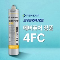 에버퓨어 정품 4FC 필터 EV9692-21 PENTAIR