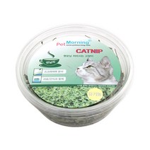 고양이전용 캣닢 차12g 2개 화분재배 냥이용식물 잔디