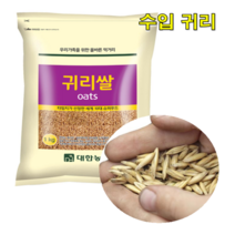 수입 귀리 1kg 귀리우유 귀리쉐이크 볶은귀리 귀리효능 귀리다이어트 오트밀우유