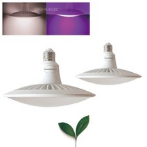 빛솔 LED 식물등 15W 식물생장 재배등 엘이디램프 다육이전구, 키소켓, 백색(아이보리빛)