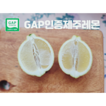 레몬 워터 만들기 제주 GAP 레몬 3kg