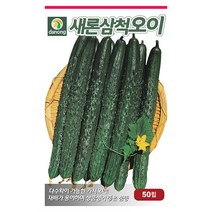 더존 복수박 씨앗 10립 - 수박씨 복수박씨 꿀수박 야채씨앗 채소씨앗 채소재배 종묘 종자 베란다 텃밭 씨 씨앗 오이 호박 방울토마토 참, 06_다농_새론삼척 오이(가시오이)(50립)