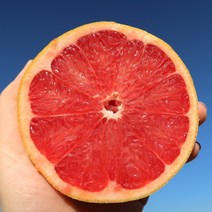 이스라엘 루비레드자몽 35과사이즈 (특대과 400g내외), 10입, 특대과 400g내외