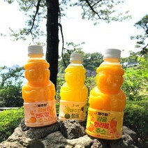 [제주향] 한라봉 천혜향 청귤 착즙주스 8병SET 3종택1, 청귤주스 330ml 8병