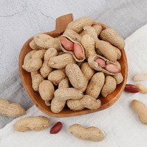 국산 땅콩 고소한 볶음 피땅콩 500g, 1개