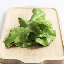 진그린 상추 모형 1P