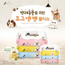 티앤비 물티슈 애견 도그앤캣(캡형)100매, 10개, 100매입