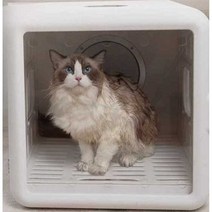 강아지드라이룸 애견 드라이기 고양이 털 건조기, 1200W 고급