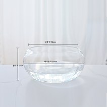 Z3JC 두꺼운 원형 투명 유리 금붕어 항아리 소형 거실 가정용 수경재배 테이블 드럼 항아리 크리에이티브 미니 거북이 항아리, 25 드럼통(포장율 1*18)