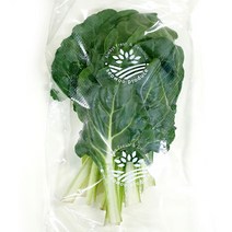 근대 200g 소분야채 간편채소 요리재료 가정용