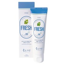 닥터초이스 좋은치약 플레쉬, 120g, 1개