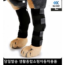 슬개골약한반려견 노견수술후산책 대형견관절수술 반려동물슬개골인대관절 반려견슬개골보호대 반려견관절보호대, 레드