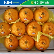 제주 위미농협 한라봉 2.5kg(5-9과), 단품